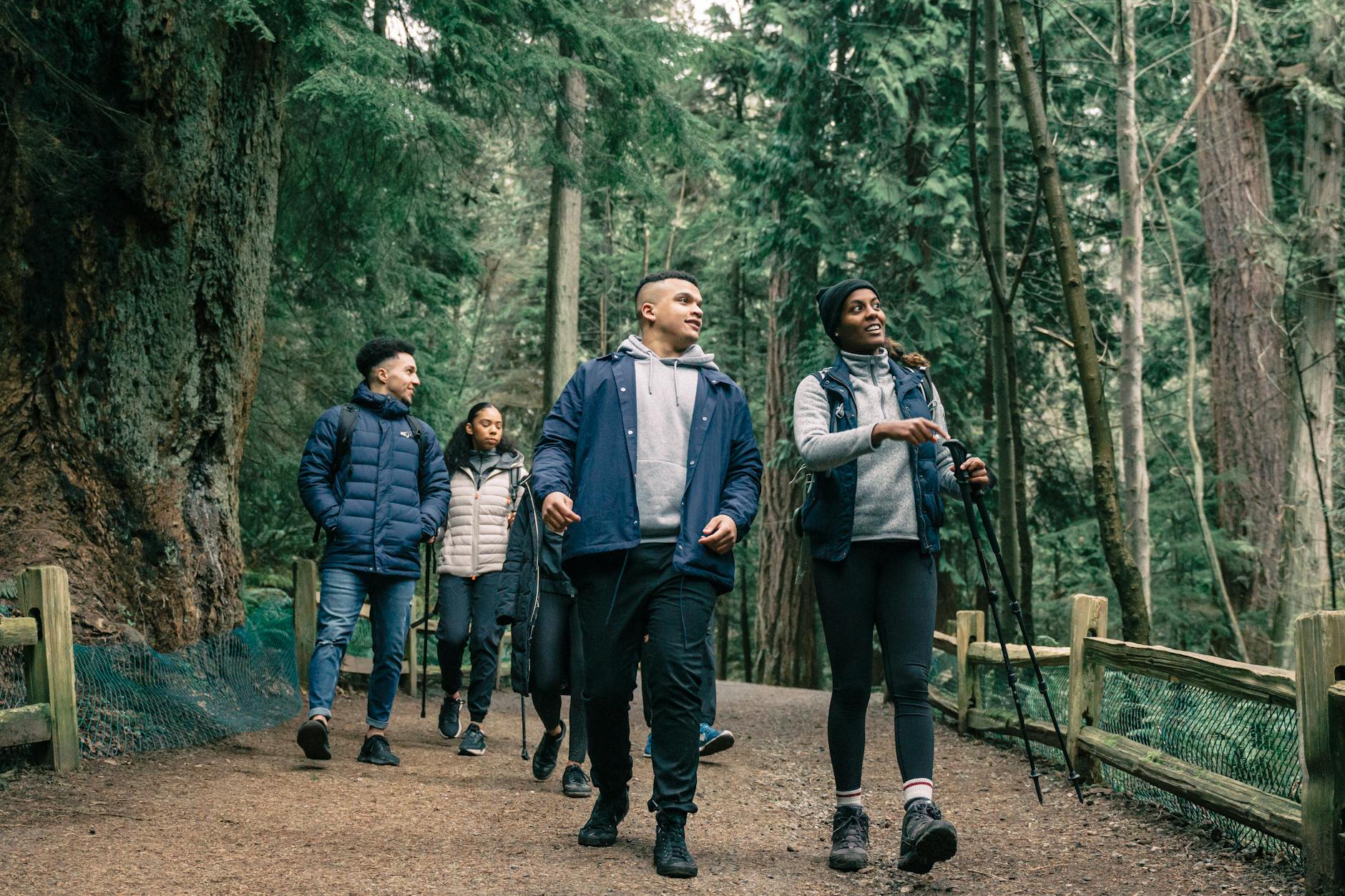 A diverse group of hikers exploring a scenic forest trail, enjoying nature and camaraderie.